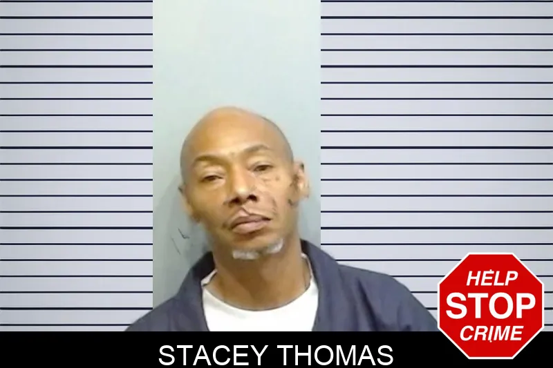 Stacey Thomas mugshot – Fulton County , Georgia Stacey Thomas mugshot