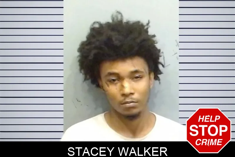 Stacey Walker mugshot – Fulton County , Georgia Stacey Walker mugshot