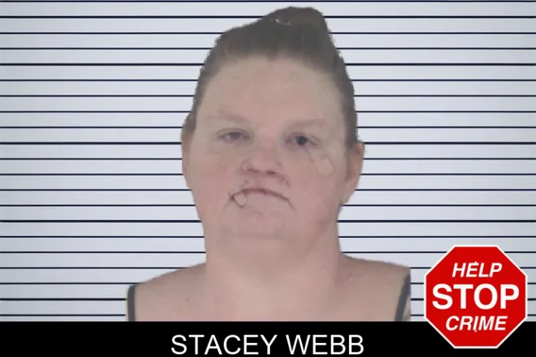 Stacey Webb mugshot – Douglas County , Georgia Stacey Webb