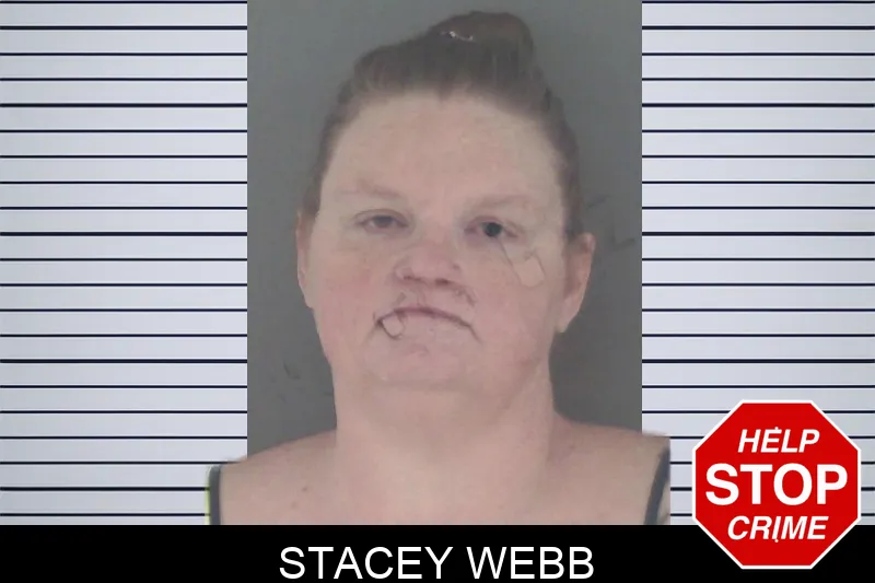 Stacey Webb mugshot