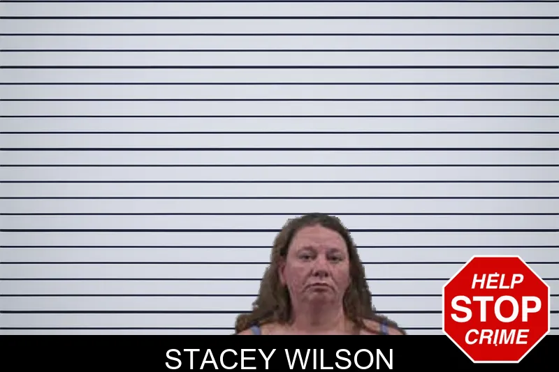 Stacey Wilson mugshot