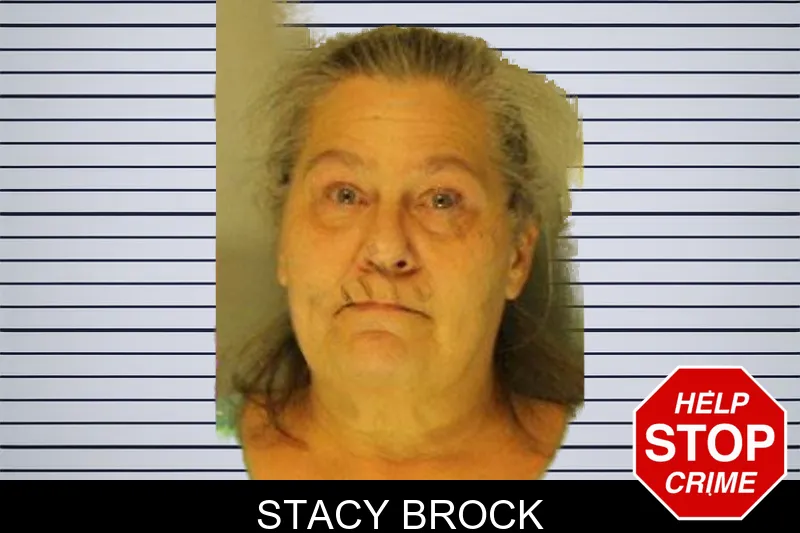 Stacy Brock mugshot
