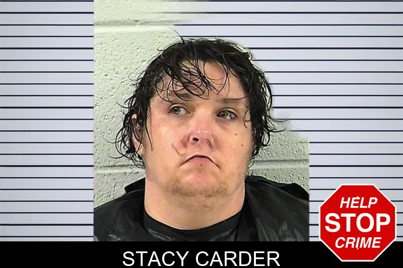 Stacy Carder mugshot