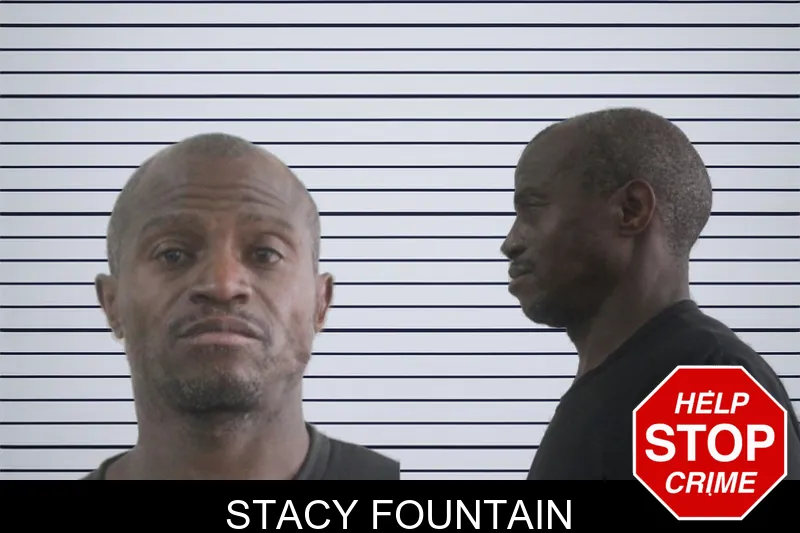 Stacy Fountain mugshot