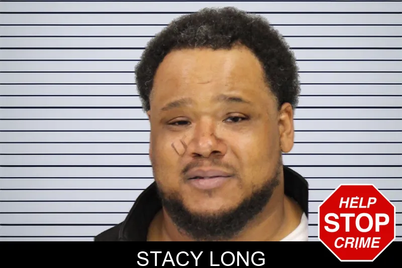 Stacy Long mugshot