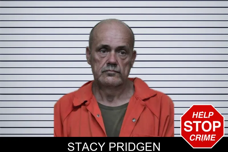 Stacy Pridgen mugshot – Ben Hill County , Georgia Stacy Pridgen mugshot