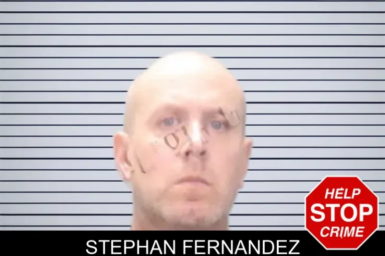 Stephan Fernandez