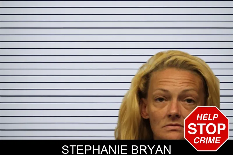 Stephanie Bryan mugshot – Chatham County , Georgia Stephanie Bryan mugshot