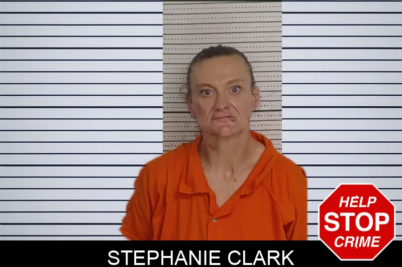 Stephanie Clark mugshot