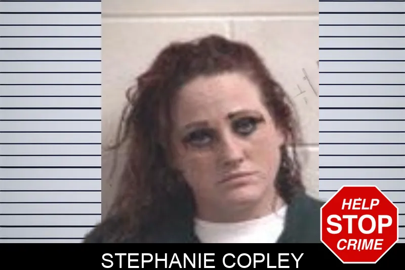 Stephanie Copley mugshot – Henry County , Georgia Stephanie Copley mugshot