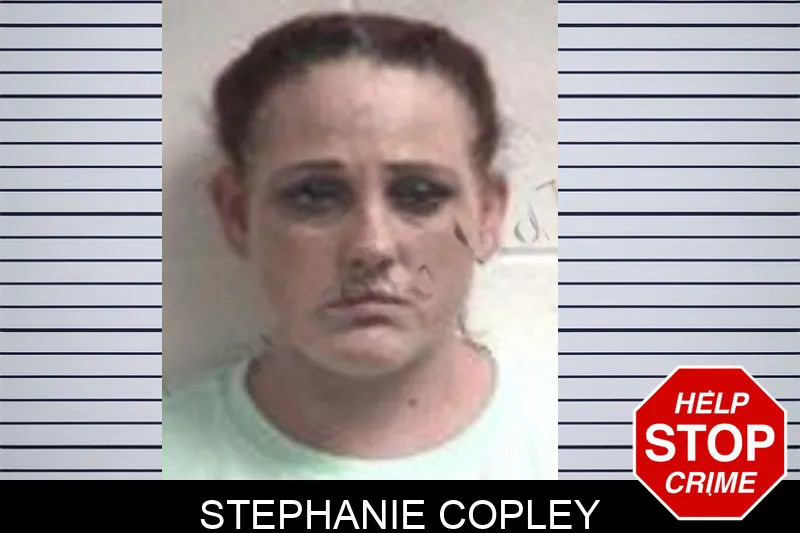 Stephanie Copley mugshot