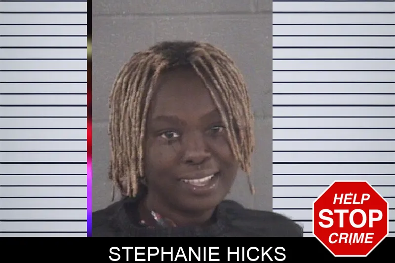Stephanie Hicks mugshot