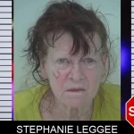 Stephanie Leggee mugshot – Fayette County , Georgia Stephanie Leggee mugshot