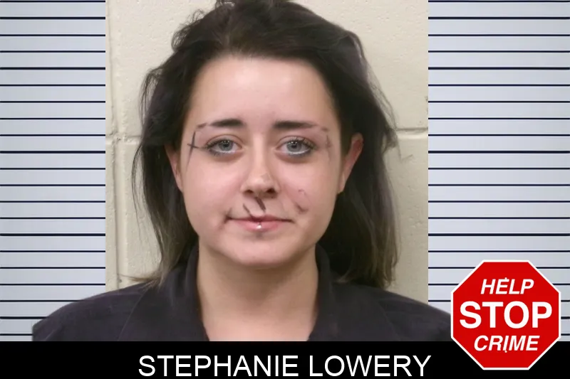 Stephanie Lowery mugshot