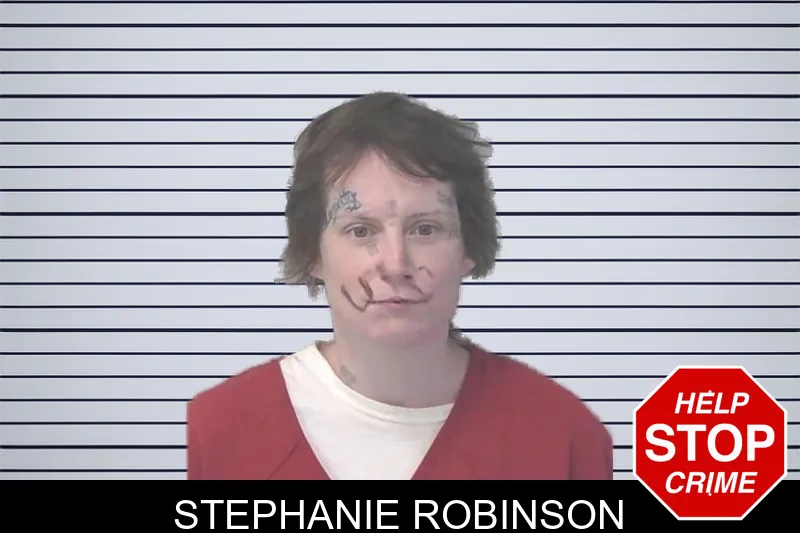 Stephanie Robinson mugshot – Newton County , Georgia Stephanie Robinson mugshot