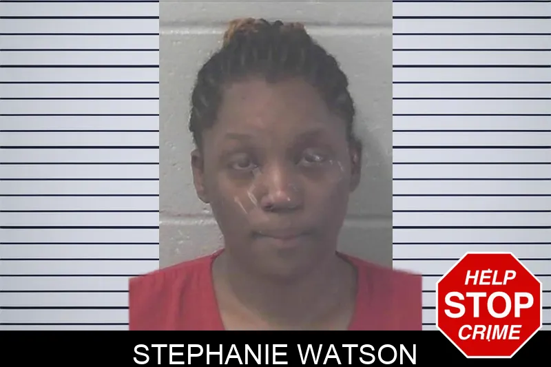Stephanie Watson mugshot – Newton County , Georgia Stephanie Watson mugshot