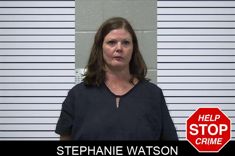 Stephanie Watson mugshot – Gilmer County , Georgia Stephanie Watson mugshot