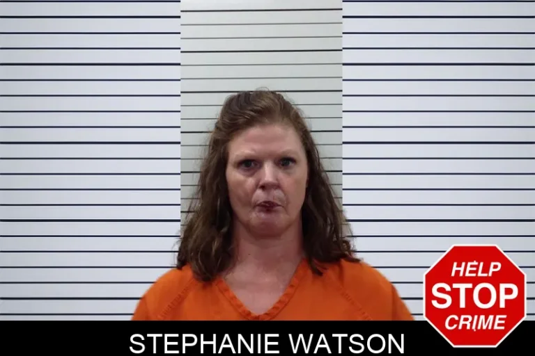 Stephanie Watson mugshot – Pickens County , Georgia Stephanie Watson