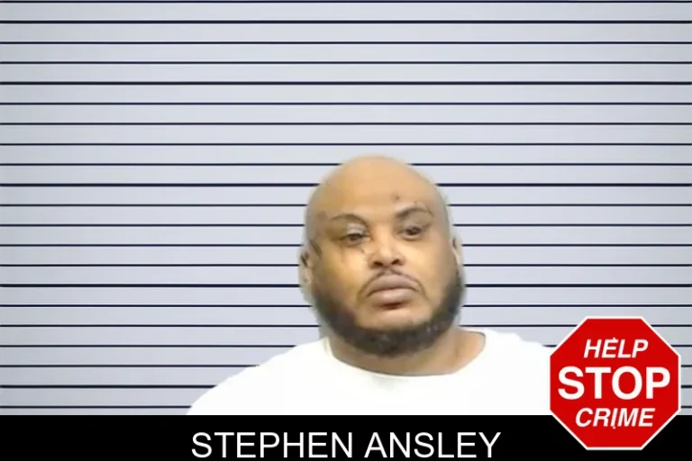 Stephen Ansley