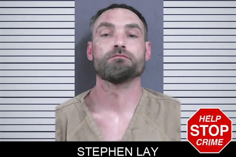 Stephen Lay