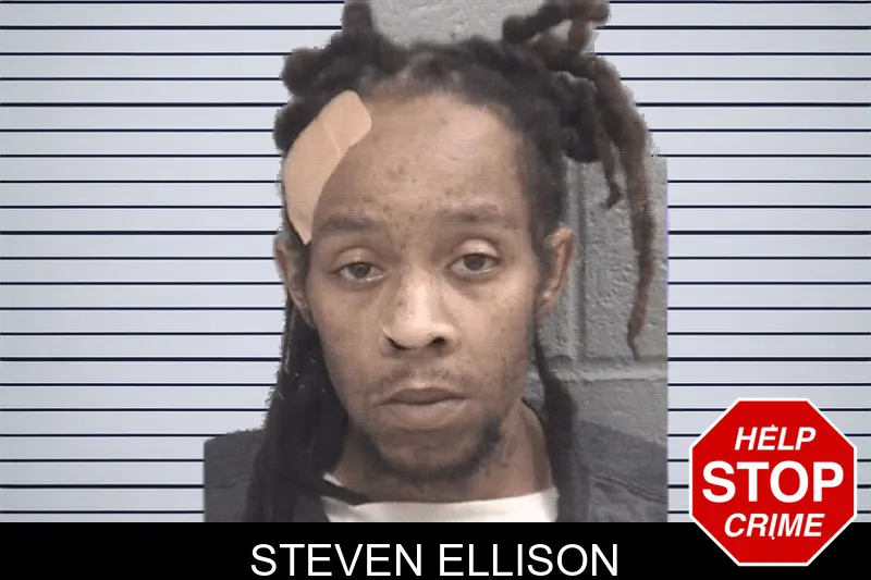 Steven Ellison mugshot