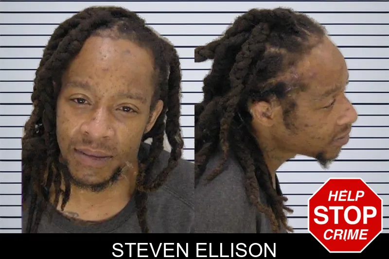 Steven Ellison mugshot