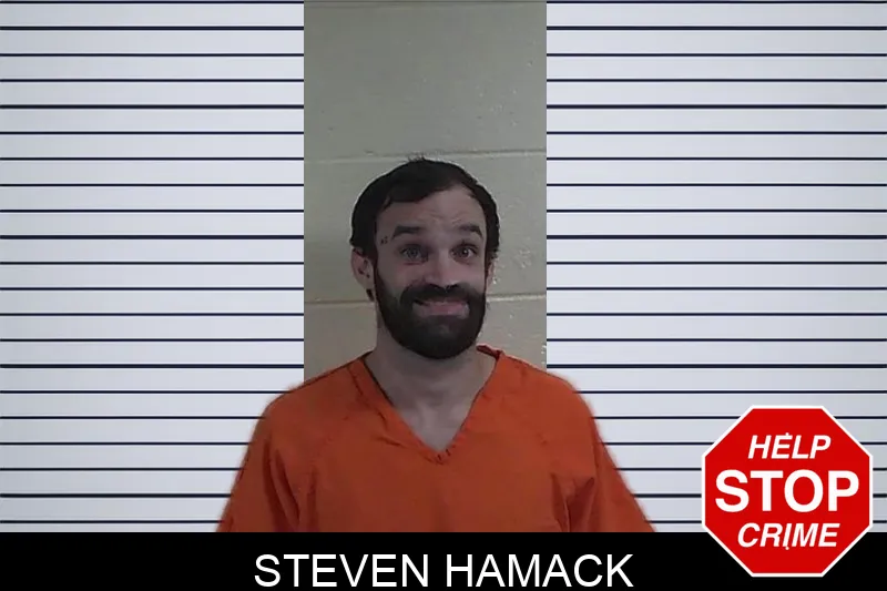 Steven Hamack mugshot – Fannin County , Georgia Steven Hamack mugshot