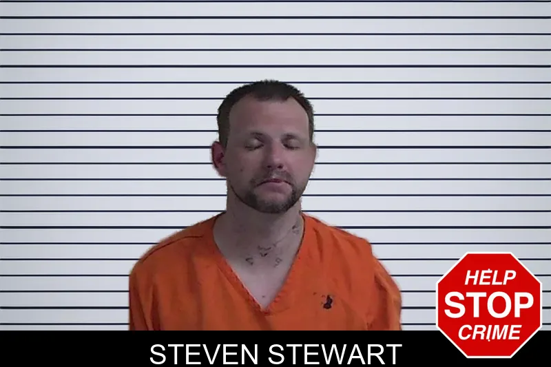 Steven Stewart mugshot – Fannin County , Georgia Steven Stewart mugshot