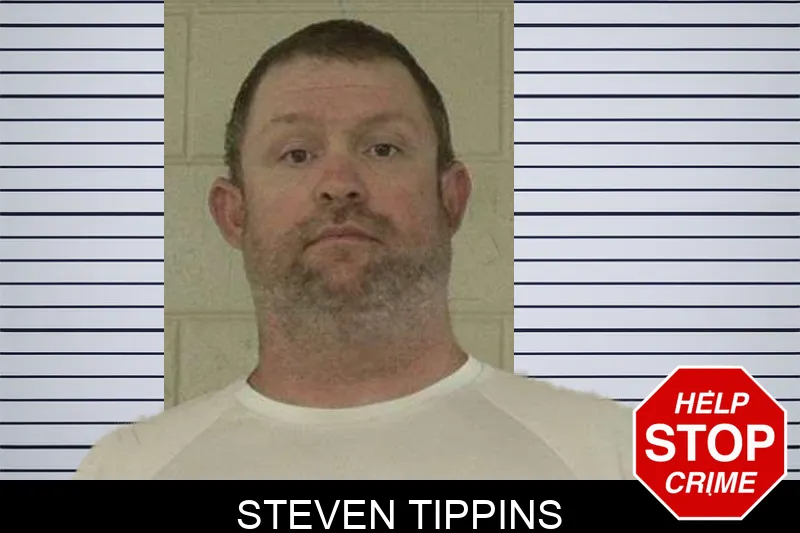 Steven Tippins mugshot