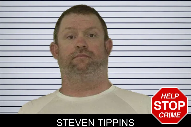 Steven Tippins mugshot