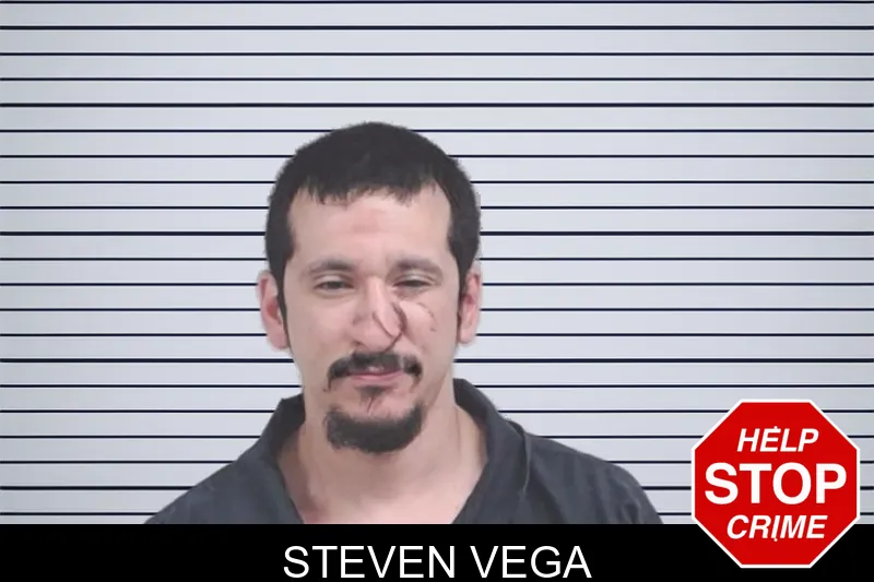 Steven Vega mugshot
