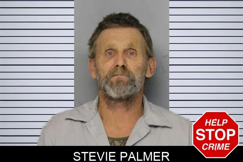 Stevie Palmer mugshot – Hall County , Georgia Stevie Palmer mugshot