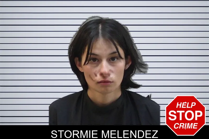 Stormie Melendez mugshot – Madison County , Georgia Stormie Melendez mugshot
