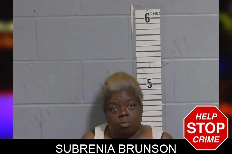 Subrenia Brunson mugshot – Candler County , Georgia Subrenia Brunson mugshot
