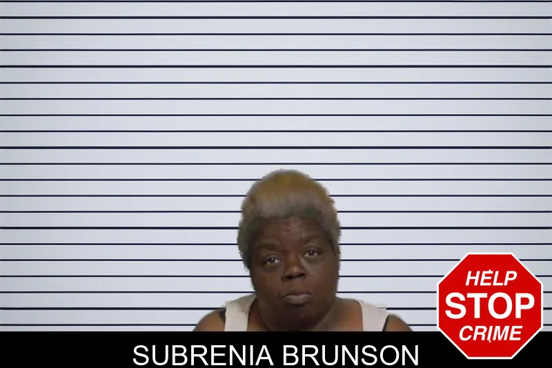 Subrenia Brunson mugshot – Candler County , Georgia Subrenia Brunson mugshot