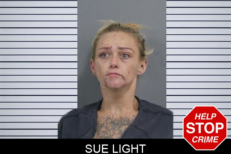 Sue Light mugshot – Catoosa County , Georgia Sue Light mugshot