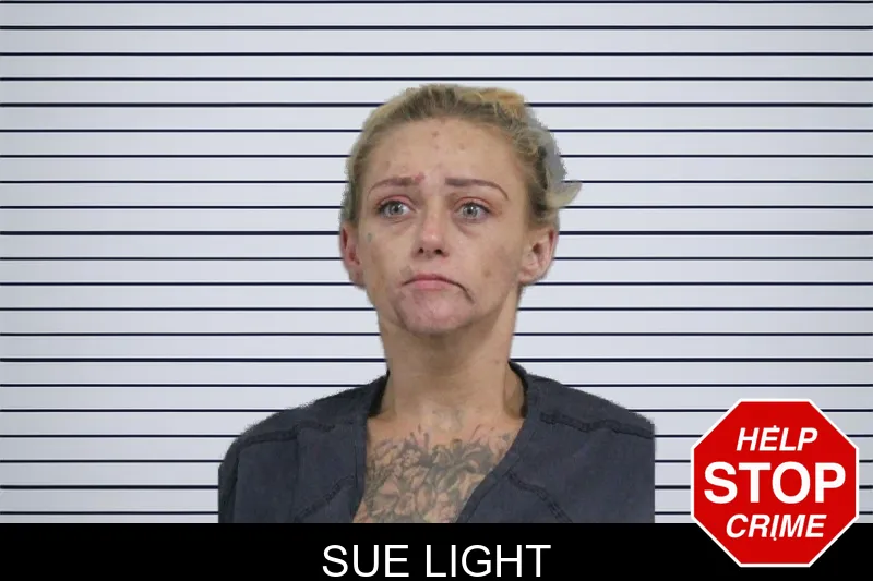 Sue Light mugshot – Catoosa County , Georgia Sue Light mugshot