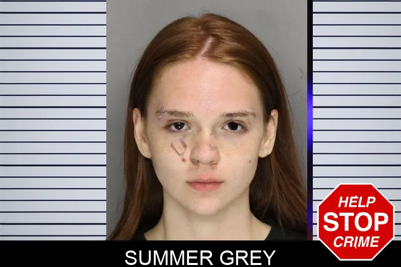 Summer Grey mugshot – Cobb County , Georgia Summer Grey mugshot