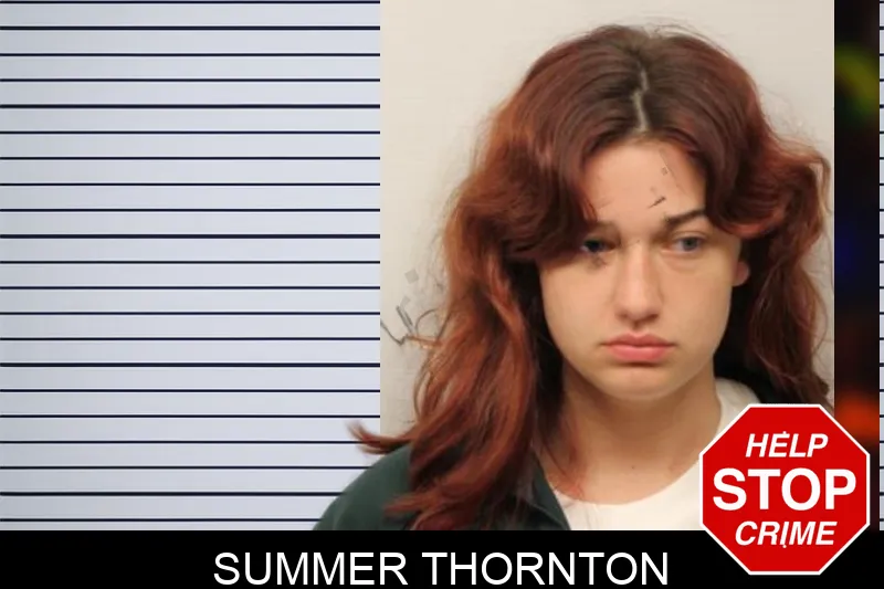 Summer Thornton mugshot – Chatham County , Georgia Summer Thornton mugshot