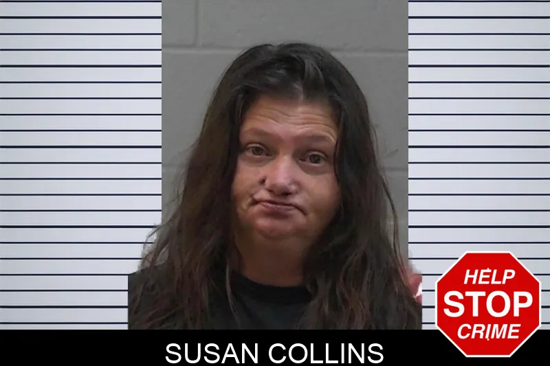 Susan Collins mugshot