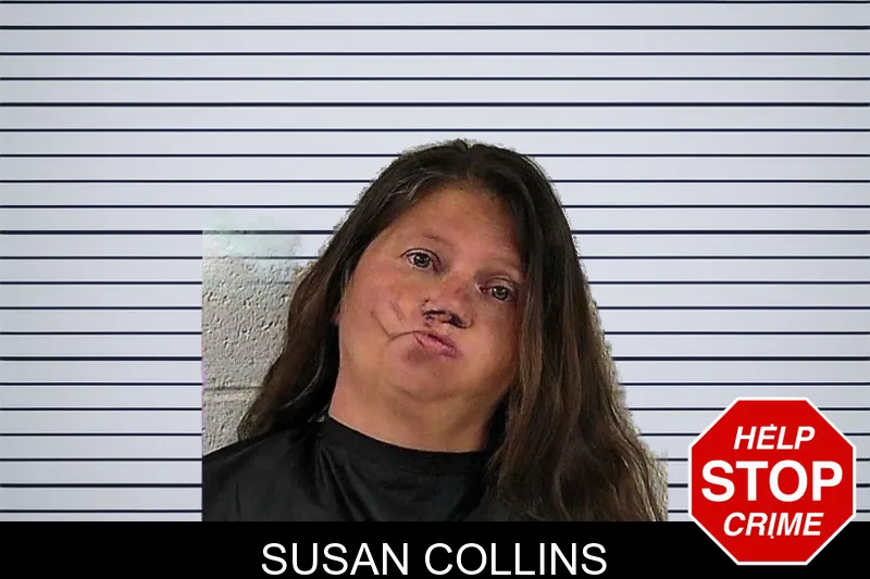 Susan Collins mugshot