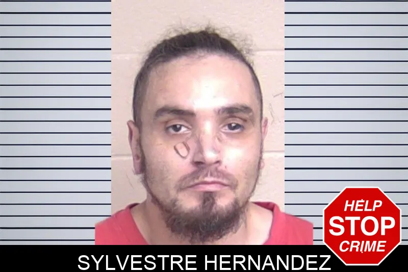Sylvestre Hernandez mugshot – Walker County , Georgia Sylvestre Hernandez mugshot