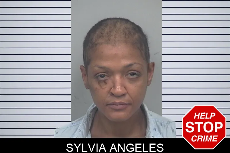 Sylvia Angeles mugshot