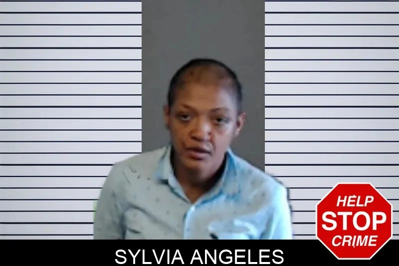 Sylvia Angeles mugshot – DeKalb County , Georgia Sylvia Angeles mugshot