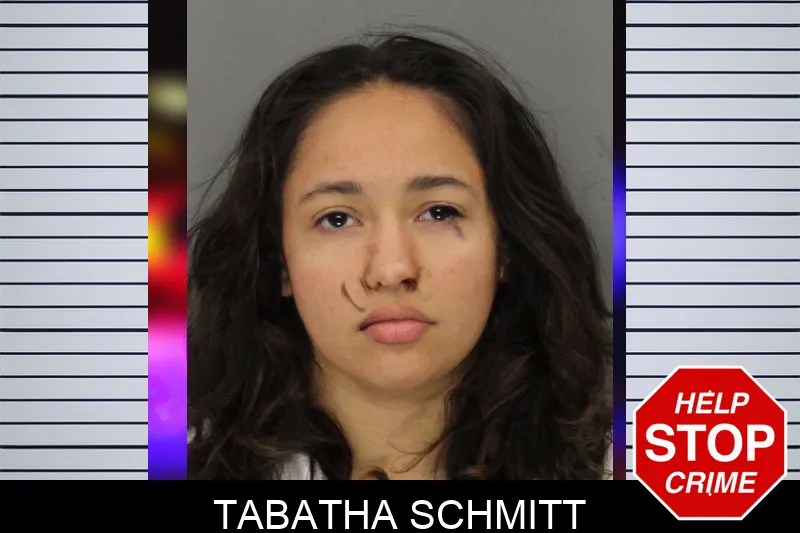 Tabatha Schmitt mugshot – Cobb County , Georgia Tabatha Schmitt mugshot