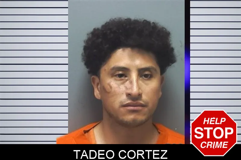 Tadeo Cortez mugshot