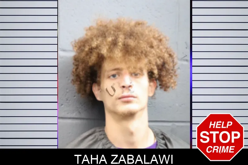 Taha Zabalawi mugshot