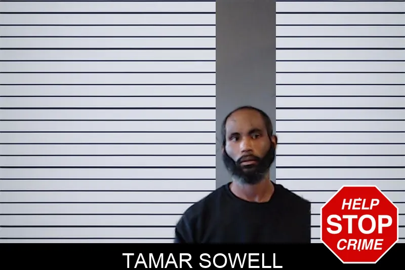 Tamar Sowell mugshot – DeKalb County , Georgia Tamar Sowell mugshot