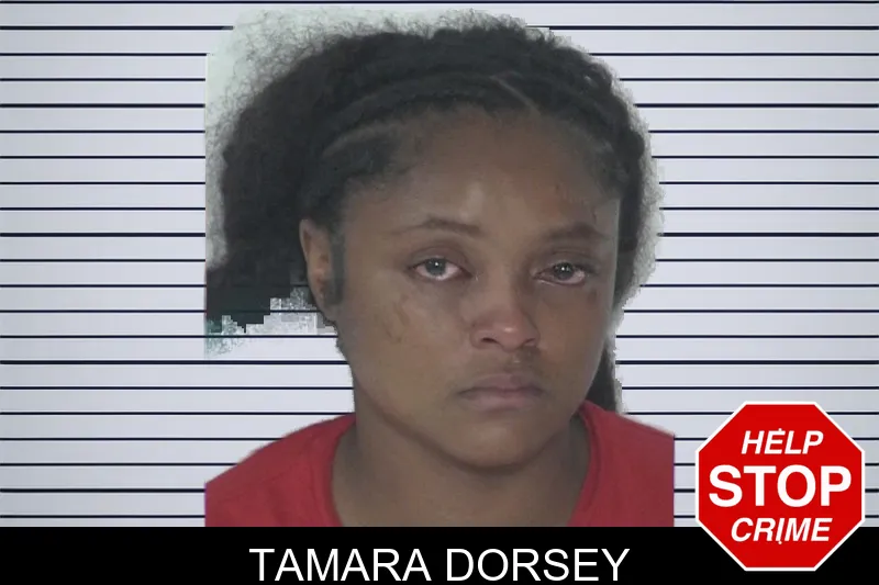 Tamara Dorsey mugshot