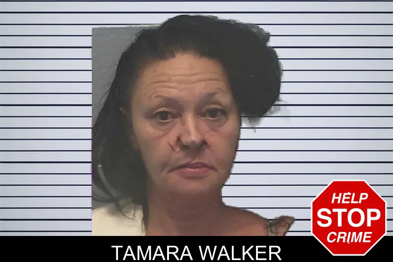Tamara Walker mugshot